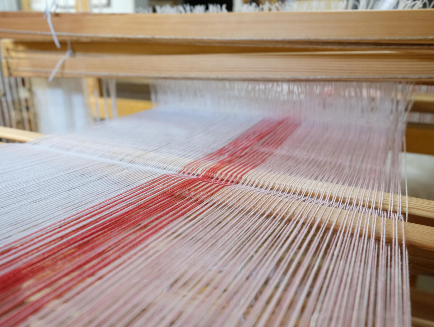 warp on the loom